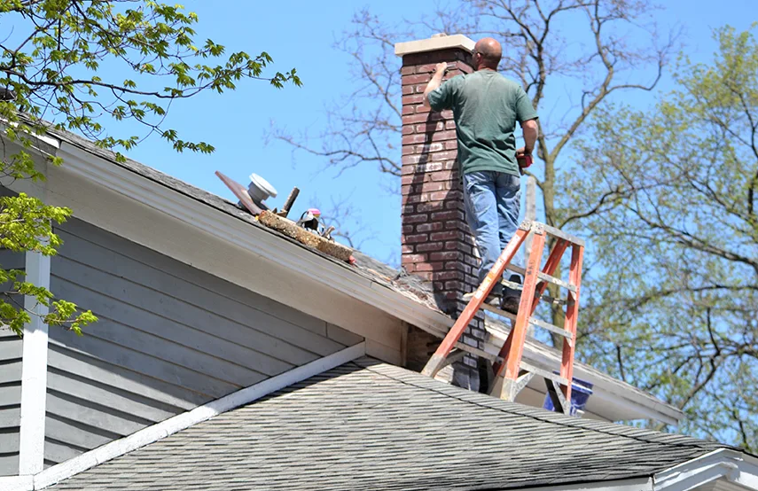 Chimney & Fireplace Inspections Services in Balch Springs, TX